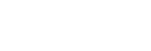 Fidelity